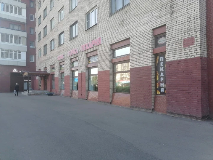 Нежилое помещение 264,9 кв. мна пр. Ветеранов